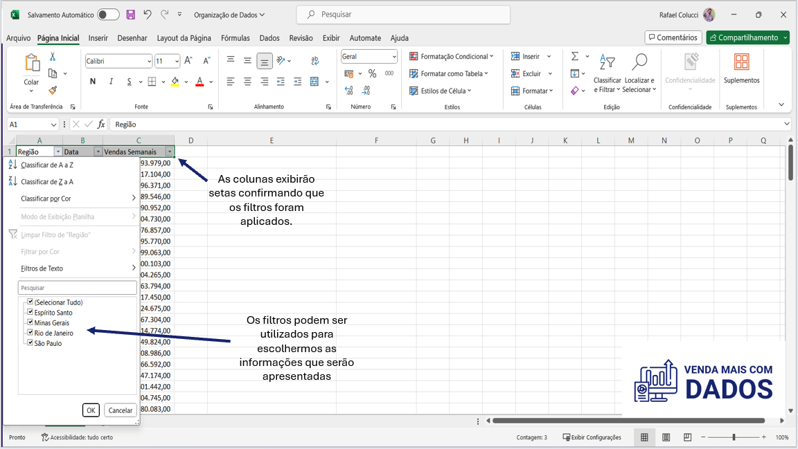 Filtros aplicados em uma planilha de vendas
