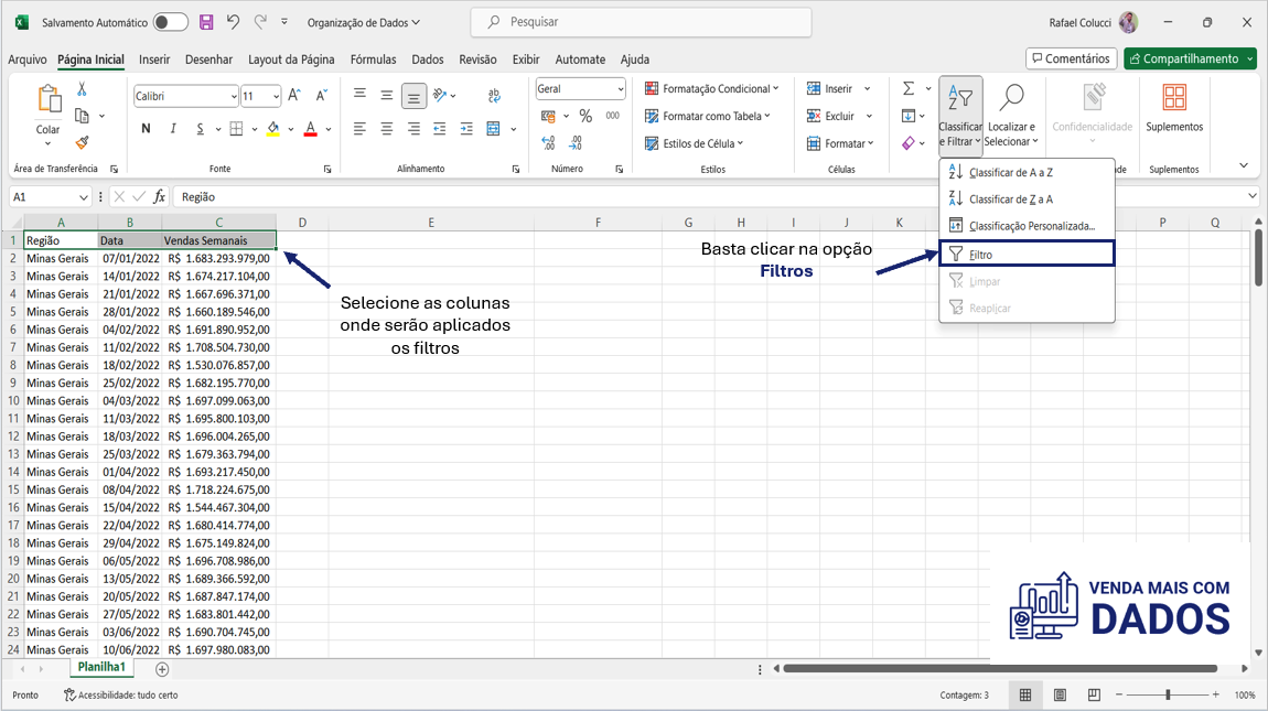 Como inserir filtros em uma planilha de vendas no artigo Excel básico para iniciantes em vendas